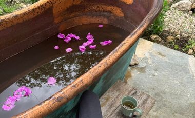 Finca Henequenera del Siglo XIX – Remodelada