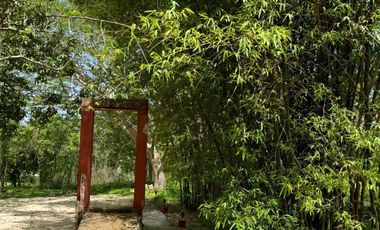 Finca Henequenera del Siglo XIX – Remodelada