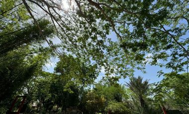 Finca Henequenera del Siglo XIX – Remodelada