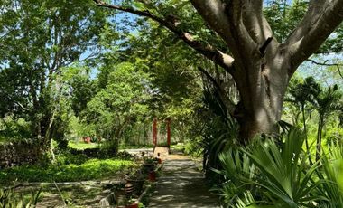 Finca Henequenera del Siglo XIX – Remodelada