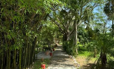 Finca Henequenera del Siglo XIX – Remodelada