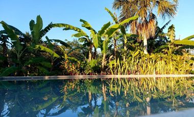 Finca Henequenera del Siglo XIX – Remodelada