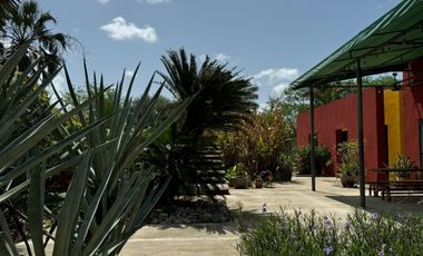 Finca Henequenera del Siglo XIX – Remodelada