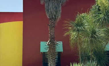 Finca Henequenera del Siglo XIX – Remodelada