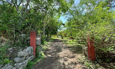 Finca Henequenera del Siglo XIX – Remodelada