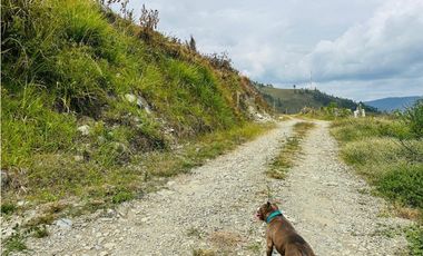 Vendo Lote En San Félix