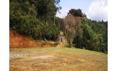 Venta de lote campestre unidad cerrada en el retiro Ant el carrizal