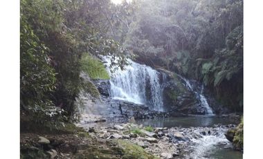 Venta de lote campestre unidad cerrada en el retiro Ant el carrizal