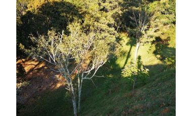 Venta de lote campestre unidad cerrada en el retiro Ant el carrizal
