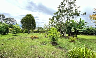 🏡 FINCA CAMPESTRE EN VENTA EN PONTEZUELA – LA CEJA ANTIOQUIA