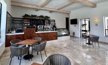 DIVINA CASA DISEÑO ARTIGAS EN SAN MIGUEL DE ALLENDE Y EN EXCELENTE PRECIO