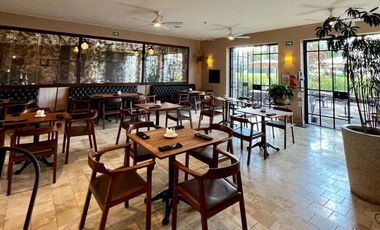 DIVINA CASA DISEÑO ARTIGAS EN SAN MIGUEL DE ALLENDE Y EN EXCELENTE PRECIO