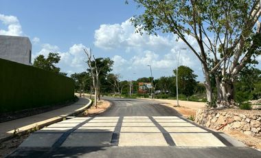 Casa de 1 Planta en Venta en Conkal Mérida – 2 Recámaras, 225 m²Trrno