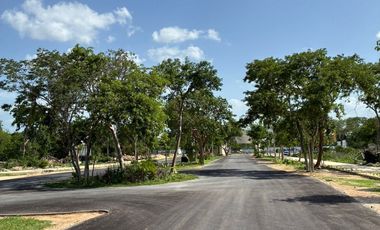 Casa de 1 Planta en Venta en Conkal Mérida – 2 Recámaras, 225 m²Trrno