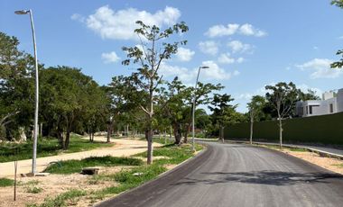 Casa de 1 Planta en Venta en Conkal Mérida – 2 Recámaras, 225 m²Trrno