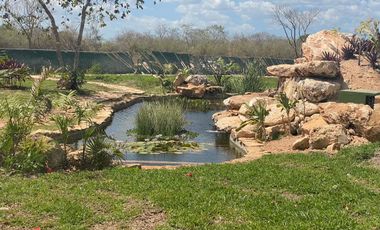 Casa 1 Planta en Conkal, Mérida | Desarrollo con Amenidades