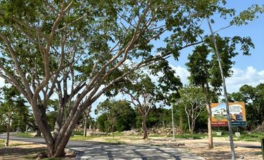 Casa de 1 Planta en Venta en Conkal Mérida – 2 Recámaras, 225 m²Trrno