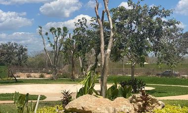 Casa 1 Planta en Conkal, Mérida | Desarrollo con Amenidades