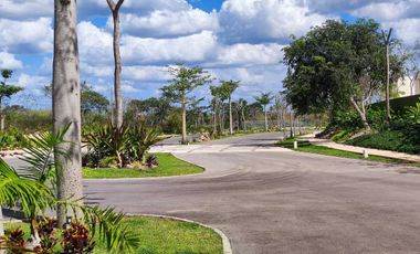 Casa 1 Planta en Conkal, Mérida | Desarrollo con Amenidades