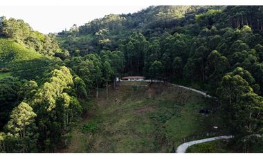 Rento Casa En Envigado