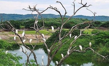 Manabí Montecristi, Lote en Venta,  628.58m2