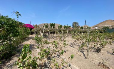 Oportunidad Venta De Terreno En Azpitia