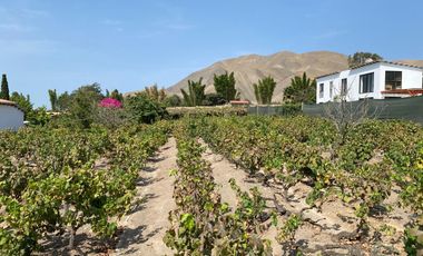 Oportunidad Venta De Terreno En Azpitia