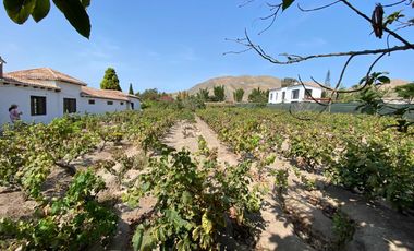 Oportunidad Venta De Terreno En Azpitia