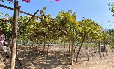 Oportunidad Venta De Terreno En Azpitia