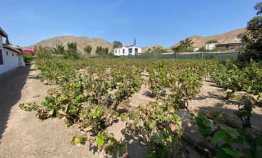 Oportunidad Venta De Terreno En Azpitia