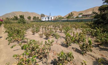 Oportunidad Venta De Terreno En Azpitia