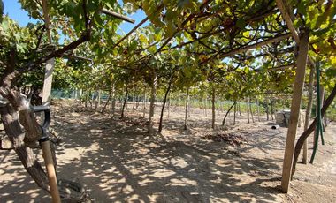 Oportunidad Venta De Terreno En Azpitia