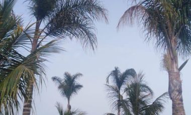 Terreno en Venta en Huacho - Huaura