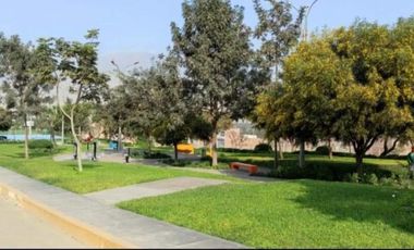 Terreno SE VENDE UN TERRENO DE 99.73 M2, MENORCA DE SAN ANTONIO-PACHACAMAC