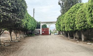 Terreno De 160 M² En Cieneguilla
