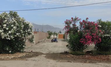 Terreno De 160 M² En Cieneguilla