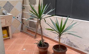 Departamento en Alquiler Córpac - San Isidro
