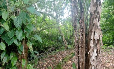 VENTA DE CASA EN EL SALTO DE BUGABA  5,534 METROS  3 RECAMARAS