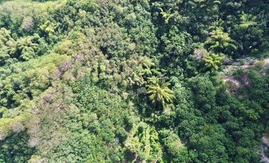 Tanah murah dekat central Kuta Mandalika Lombok. Cocok untuk villa
