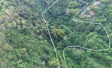 Tanah murah dekat central Kuta Mandalika Lombok. Cocok untuk villa