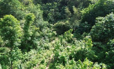 Tanah murah dekat central Kuta Mandalika Lombok. Cocok untuk villa