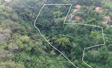 Tanah murah dekat central Kuta Mandalika Lombok. Cocok untuk villa