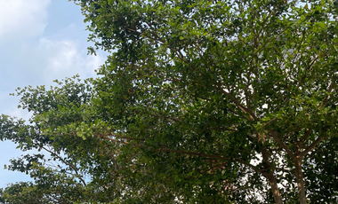 Beli rumah dapat bonus full furnish dan passive income ratusan juta