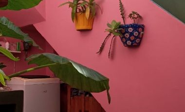 Casa PH en alquiler en Haedo Centro Sur