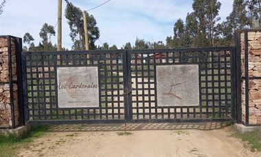 Agrícola en Venta en Venta 4Lotes 5000 Sector Camarico norte Pumanque SIN COMISION