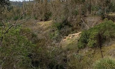 Agrícola en Venta en Venta 4Lotes 5000 Sector Camarico norte Pumanque SIN COMISION