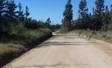 Agrícola en Venta en Venta 4Lotes 5000 Sector Camarico norte Pumanque SIN COMISION
