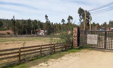 Agrícola en Venta en Venta 4Lotes 5000 Sector Camarico norte Pumanque SIN COMISION