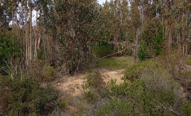 Agrícola en Venta en Venta 4Lotes 5000 Sector Camarico norte Pumanque SIN COMISION