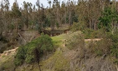 Agrícola en Venta en Venta 4Lotes 5000 Sector Camarico norte Pumanque SIN COMISION